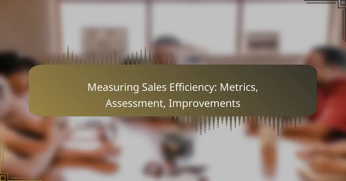 Measuring Sales Efficiency: Metrics, Assessment, Improvements