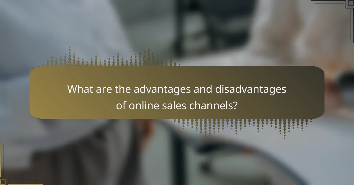 What are the advantages and disadvantages of online sales channels?